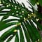 6ft. Pre-Lit UV Resistant Artificial Palm Tree with Warm White LED Lights